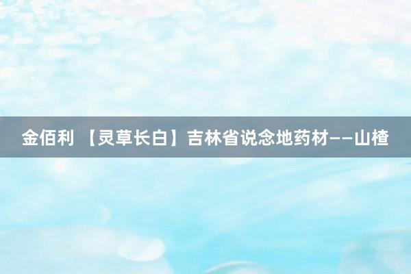 金佰利 【灵草长白】吉林省说念地药材——山楂