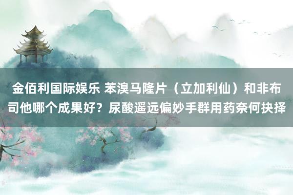 金佰利国际娱乐 苯溴马隆片（立加利仙）和非布司他哪个成果好？尿酸遥远偏妙手群用药奈何抉择