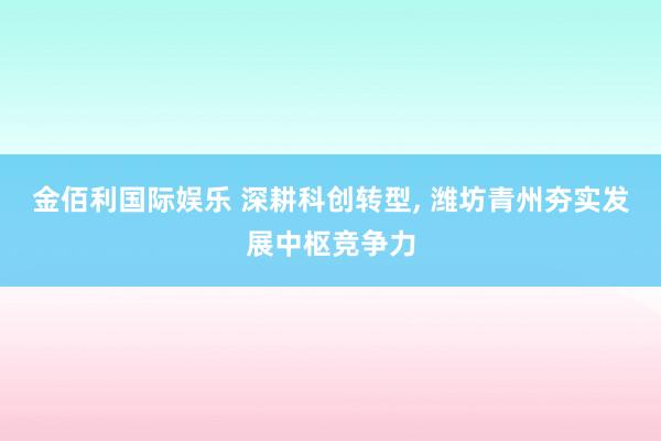金佰利国际娱乐 深耕科创转型， 潍坊青州夯实发展中枢竞争力