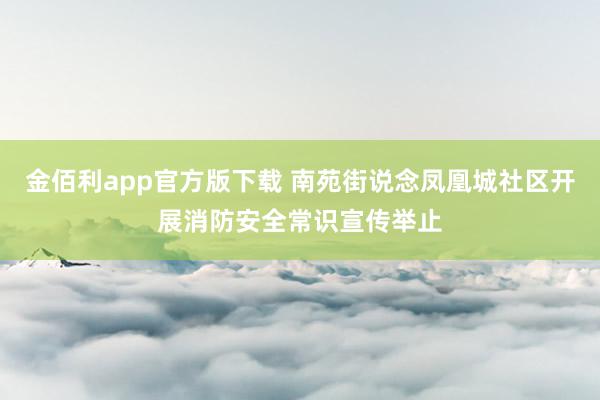 金佰利app官方版下载 南苑街说念凤凰城社区开展消防安全常识宣传举止