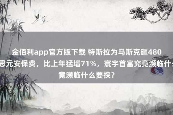 金佰利app官方版下载 特斯拉为马斯克砸480万好意思元安保费，比上年猛增71%，寰宇首富究竟濒临什么要挟？