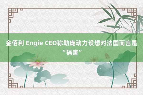 金佰利 Engie CEO称勒庞动力设想对法国而言是“祸害”