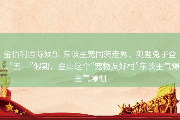 金佰利国际娱乐 东谈主宠同装走秀、狐狸兔子登场…“五一”假期，金山这个“宠物友好村”东谈主气爆棚
