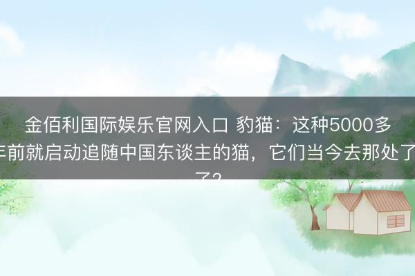 金佰利国际娱乐官网入口 豹猫：这种5000多年前就启动追随中国东谈主的猫，它们当今去那处了？