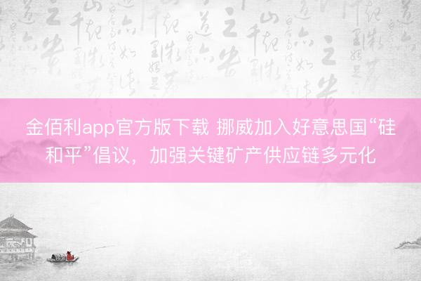 金佰利app官方版下载 挪威加入好意思国“硅和平”倡议，加强关键矿产供应链多元化